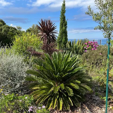 Villa A Stella Di Foce *